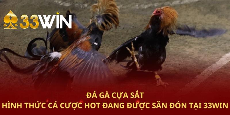 Giải trí hấp dẫn với đá gà cửa sắt sôi động, kịch tính