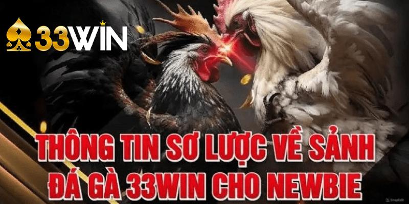 Thông tin chi tiết về sảnh chơi đá gà online tại 33win