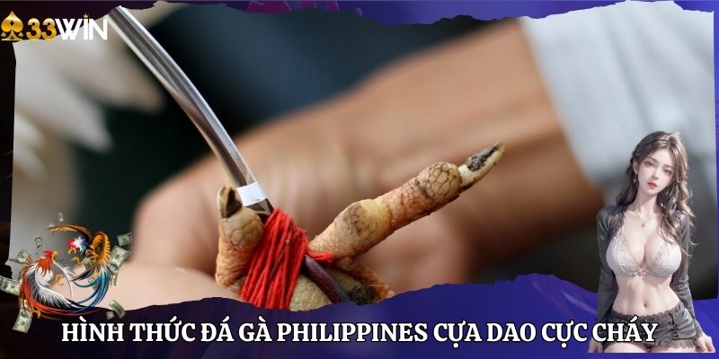 Hình thức đá gà Philippines cựa dao cực cháy