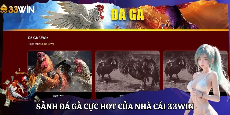 Sảnh đá gà cực hot của nhà cái 33WIN