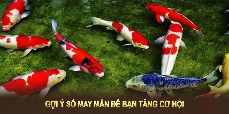 Gợi ý số may mắn để bạn tăng cơ hội chiến thắng