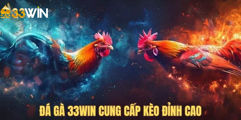 Khi tham gia cá cược đá gà tại 33win, bạn sẽ lựa chọn các cửa đặt sau