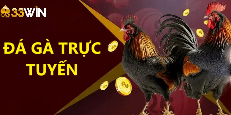 Đá Gà Trực Tuyến 33Win - Lựa Chọn Hàng Đầu Cho Sư Kê